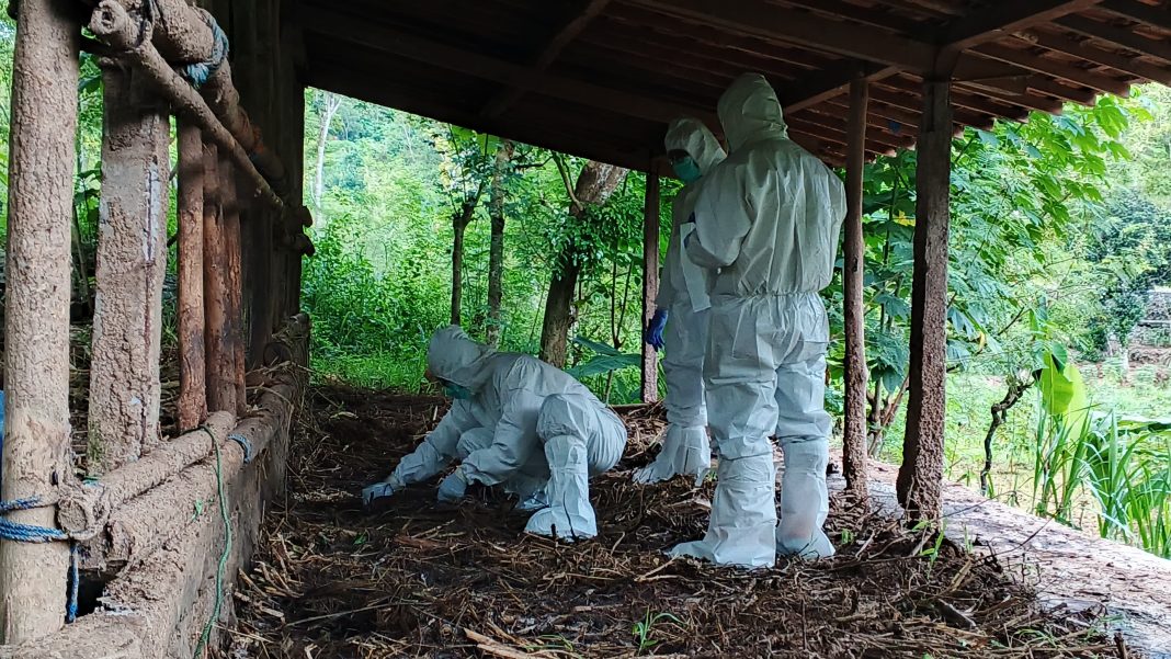 Tim Balai Besar Veteriner (BBVet) Wates mengenakan pakaian pelindung lengkap saat melakukan investigasi dan pengambilan sampel di kandang ternak yang terdampak kasus antraks di Desa Tileng, Kecamatan Girisubo, Kabupaten Gunung Kidul, DIY. (Dok/Humas PKH)