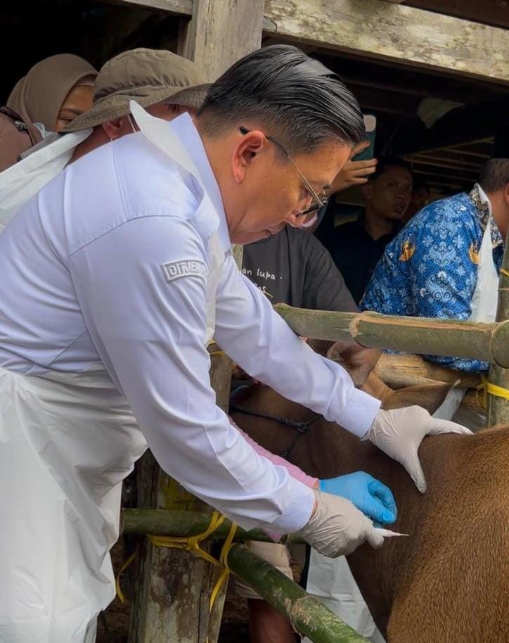 Direktur Jenderal Peternakan dan Kesehatan Hewan Kementerian Pertanian, Agung Suganda, turut serta dalam vaksinasi penyakit mulut dan kuku (PMK) pada ternak.