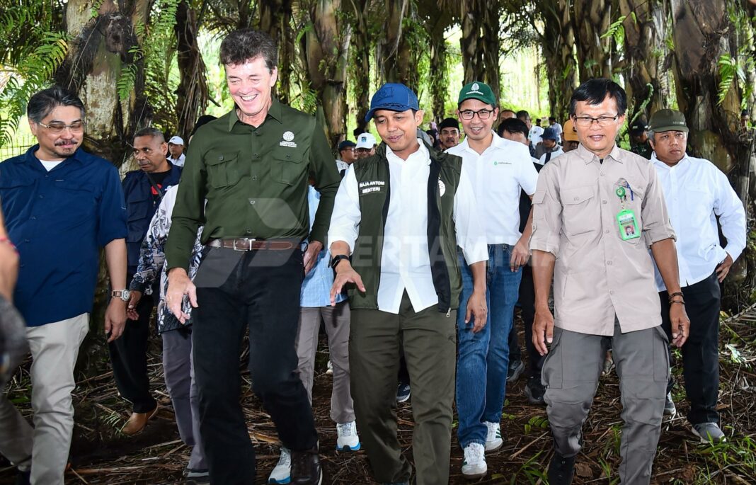 Menteri Kehutanan Raja Juli Antoni bersama Direktur Utama Pertamina NRE John Anis dan jajaran saat meninjau perkebunan aren milik masyarakat di Kabupaten Garut, Jawa Barat, Sabtu (10/5/2025). (Dok/Pertamina)
