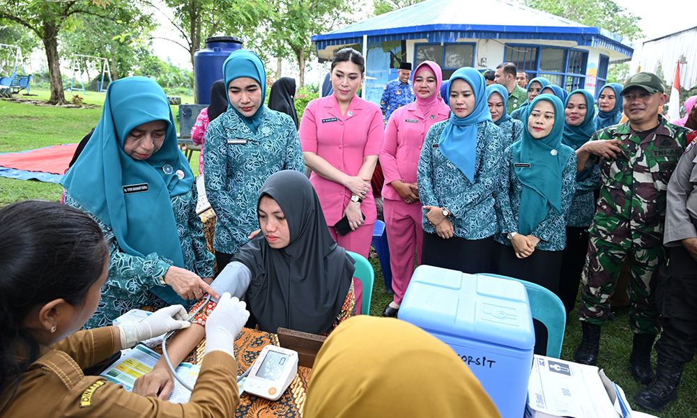 Wakil Ketua TP Posyandu Sumut, Titiek Sugiharti, meninjau layanan kesehatan di Posyandu Melati, Desa Perkebunan Parlabian, Kecamatan Kampung Rakyat, Kabupaten Labusel, Selasa (20/5/2025). (Dok/Diskominfo Sumut)