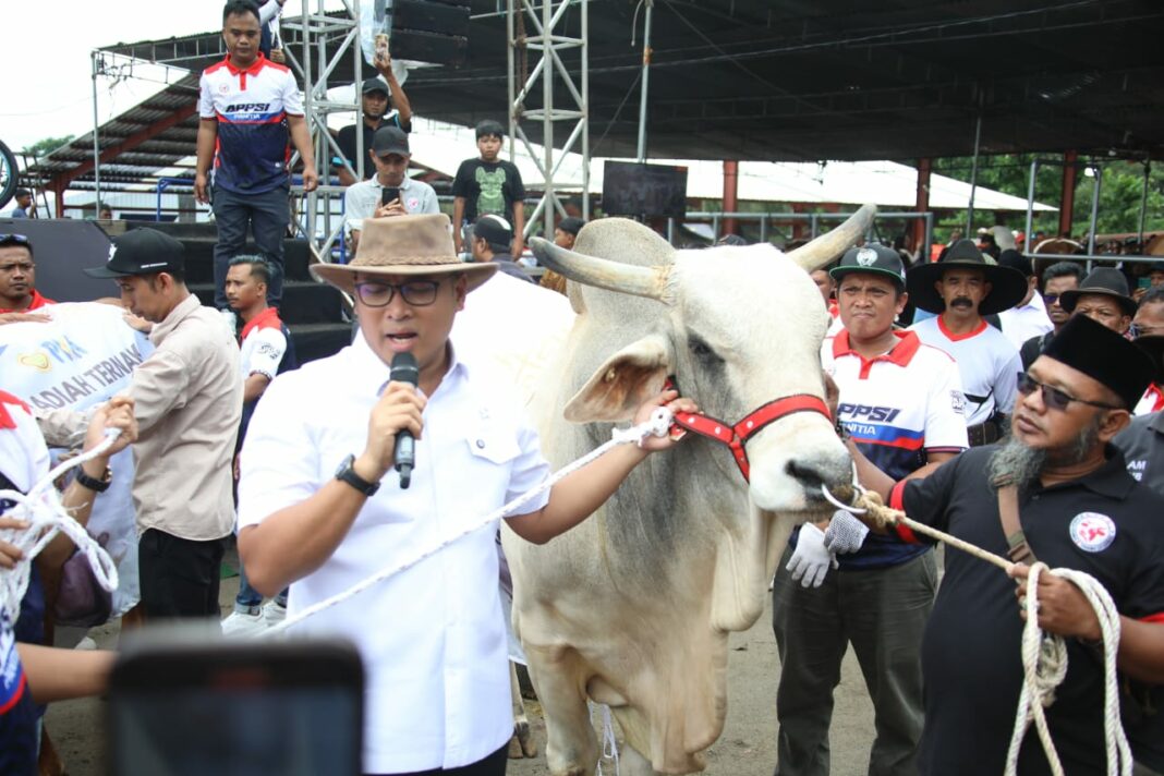 Wakil Menteri Pertanian RI, Sudaryono, memimpin prosesi pembukaan Kontes dan Expo Sapi APPSI Boyolali 2025 di Pasar Hewan Terpadu, Boyolali, Jawa Tengah, Minggu (18/5/2025). (Dok/Humas PKH)